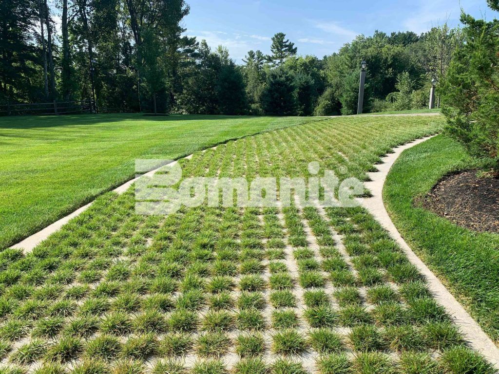 Overhead view of Partially Concealed Grasscrete Molded Pulp Former Systems pervious concrete installed by Bomanite Licensee Premier Concrete Construction.