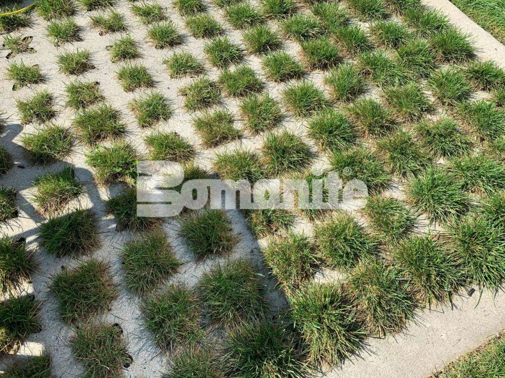 Close up of Partially Concealed Grasscrete Molded Pulp Former Systems pervious concrete installed by Bomanite Licensee Premier Concrete Construction.