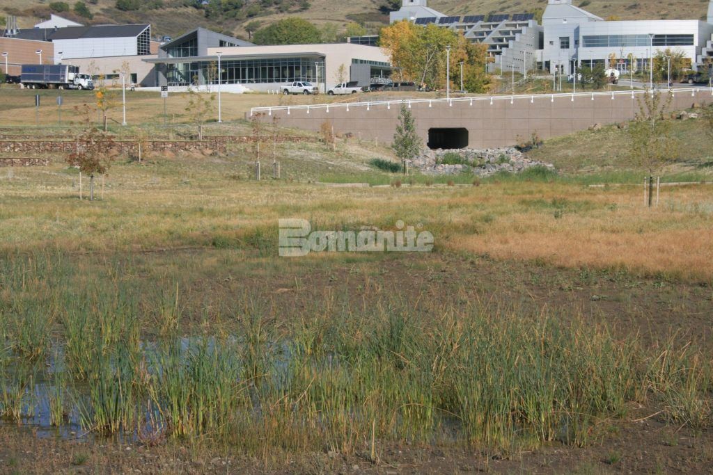 NREL Central Arroyo Detention Pond in Golden, CO, illustrating Partially Concealed Grasscrete Molded Pulp Former Systems pervious concrete installed by Bomanite Licensee Colorado Hardscapes.