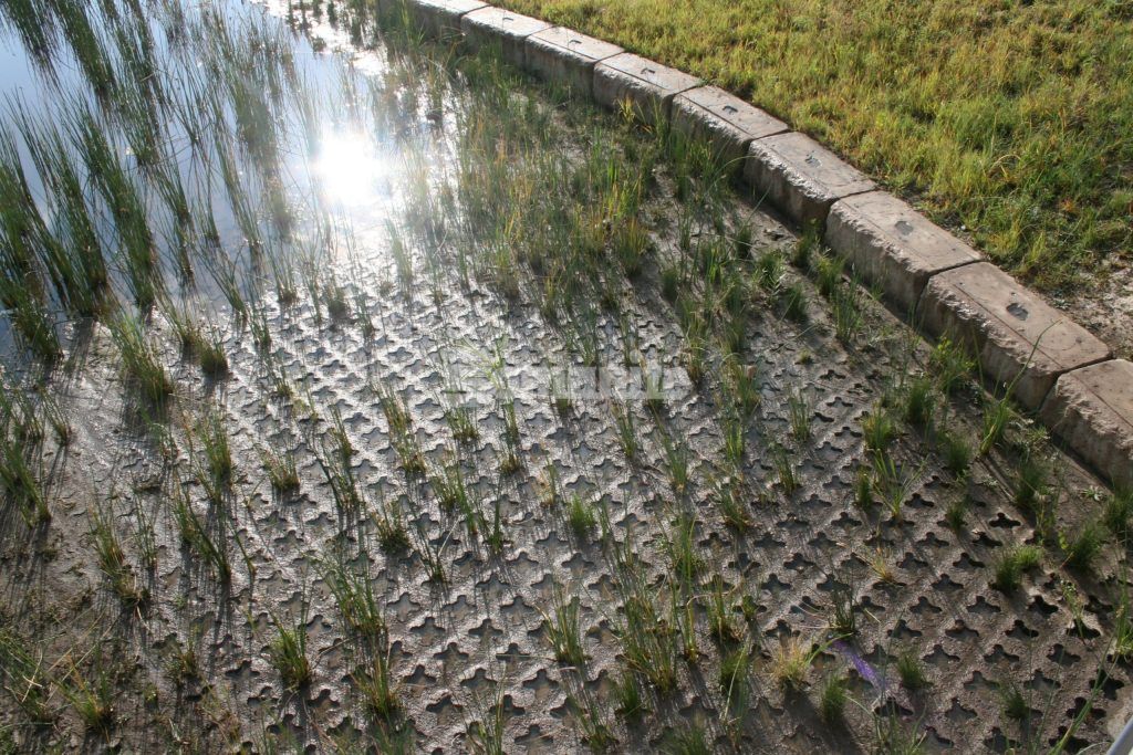 Close up of NREL Central Arroyo Detention Pond in Golden, CO, showcasing Partially Concealed Grasscrete Molded Pulp Former Systems pervious concrete installed by Bomanite Licensee Colorado Hardscapes.
